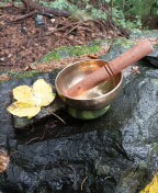 <Naturbestattung im Wald, Seebestattung, letzter Weg begleitet mit Klangschale>